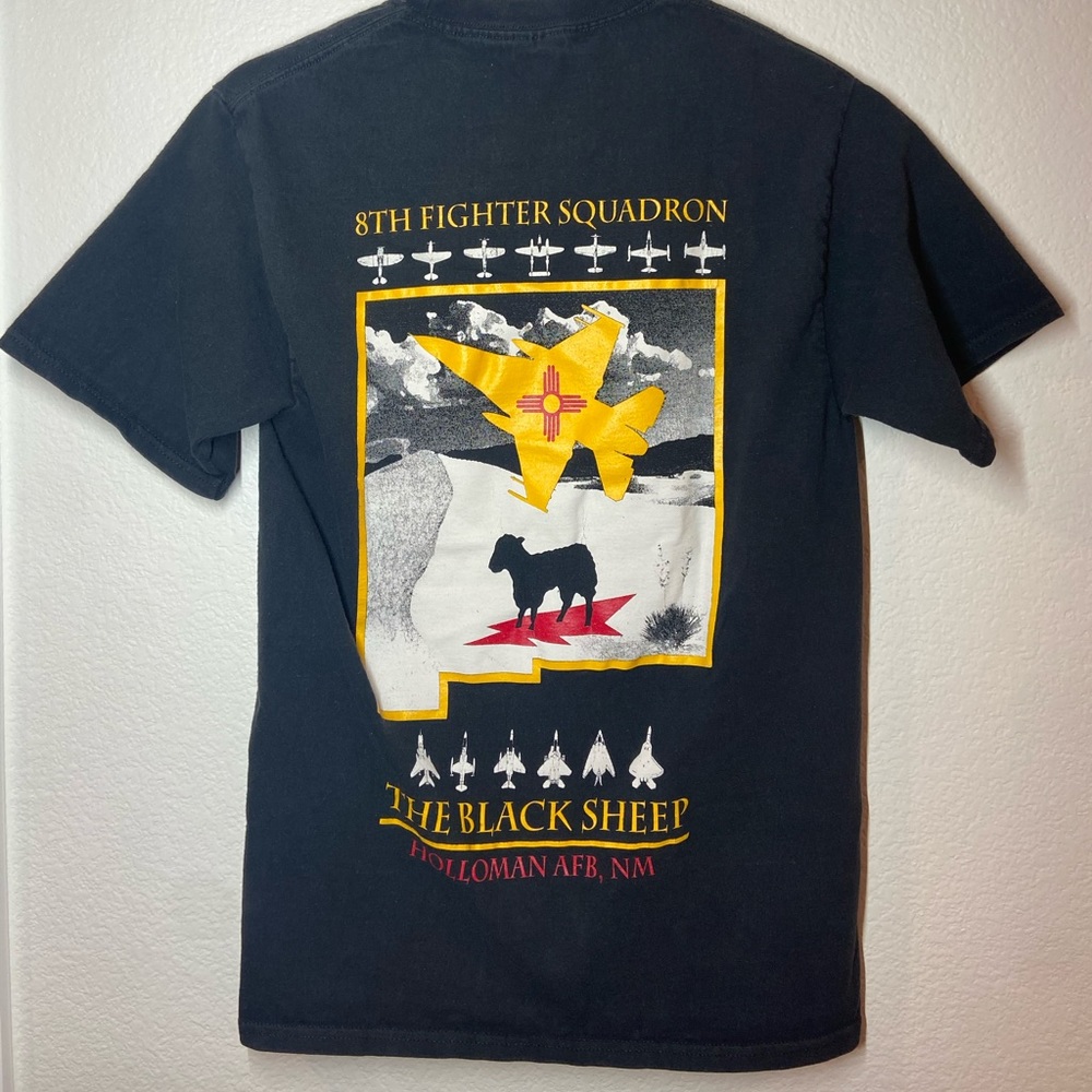 🛩🚀✨ USAF The Black Sheep 8th Tactical Fighter